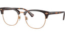 PH2277 6137 Brown Tortoise