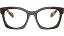 PR A05V 17N1O1 Tortoise