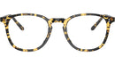 Finley 1993 OV5491U 1778 Tokyo Tortoise