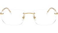 RB3768V Optics 2500