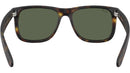 Justin RB4165 865/71