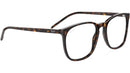 RB5387 Optics 2012