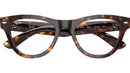 RB5510 Optics 2012