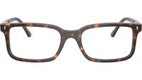 RB5445 Optics 2012