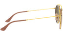 Round Double Bridge RB3647N gradient brown mirror pink