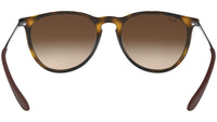 Erika Classic RB4171 matte tortoise