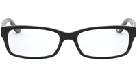 RB5187 shiny black