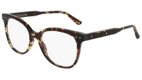 BV0121O shiny spotted tortoise
