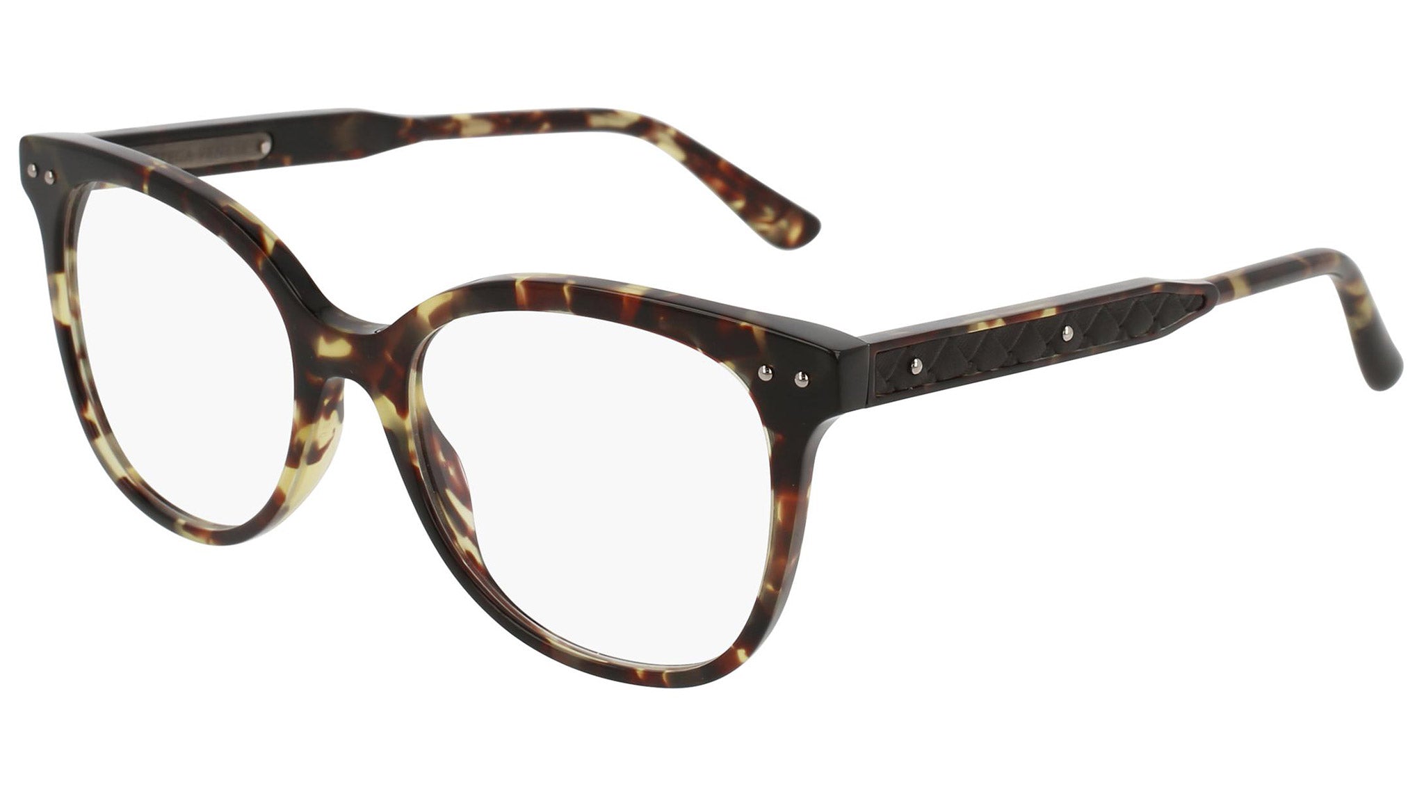 BV0121O shiny spotted tortoise