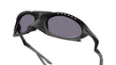Plantaris OO9437 01