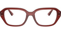 RB7258 Optics 8436