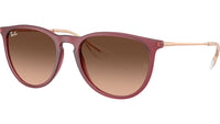 Erika RB4171 6815A5