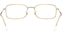RB3746V Optics 2500
