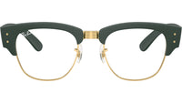 RB7316V Optics 8062