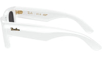 Wayfarer Puffer RB4940 671/87