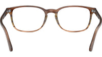 RB5418 Optics 8255