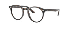 RY1594 3685 Tortoise