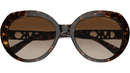 San Lucas MK2214U 300613 Dark Tortoise