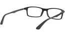 RB7017 Optics 5196