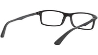 RB7017 Optics 5196