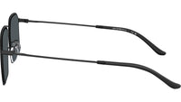 EA2165D 300180