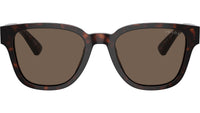 PR A04S 17N08T Tortoise