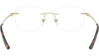 RB8783D Optics 1251