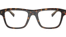 DG 3362 502 tortoise
