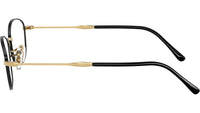 RB3749V Optics 3175
