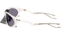 Plantaris OO9437 06
