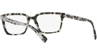 DG 3337 3172 tortoise
