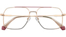 PLD D554 EYR