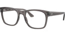 RB7228 Optics 8257