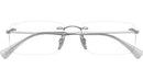 RB8755 Optics 1002