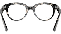 RB2199V Optics 8117