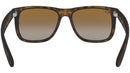 Justin Classic RB4165 matte havana