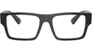 PR A08V 17N1O1 Tortoise