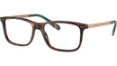 PH2273 6137 Brown Tortoise
