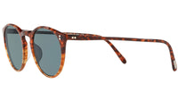O'Malley Sun OV5183S 1638R8 Tortoise