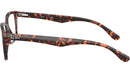 RB5228 Optics 8423