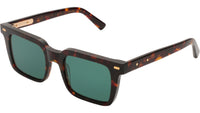 DRAVA Classic Havana