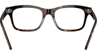 Mr Burbank Optics RB5383 2012