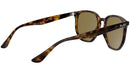 RB4306 710/73 light havana