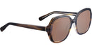 Hayworth SS538 004 Tortoise