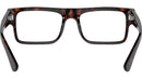 PR A01V 17N1O1 Tortoise