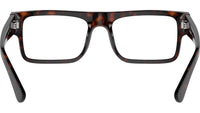 PR A01V 17N1O1 Tortoise