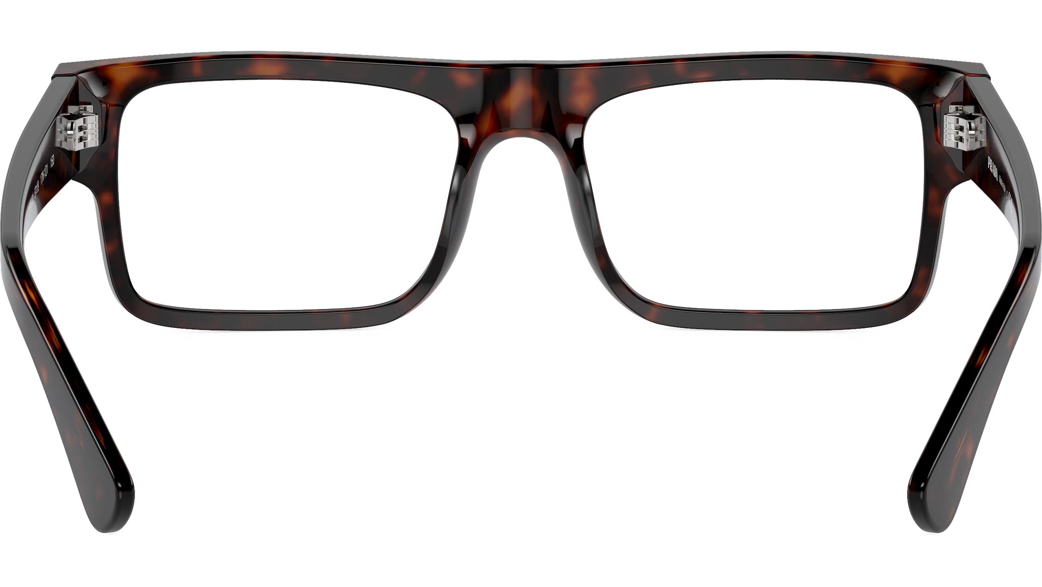PR A01V 17N1O1 Tortoise