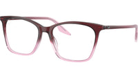 RB5422 Optics 8311