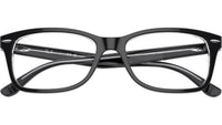 RB5428 Optics 2034