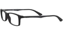 RB7017 Optics 5196